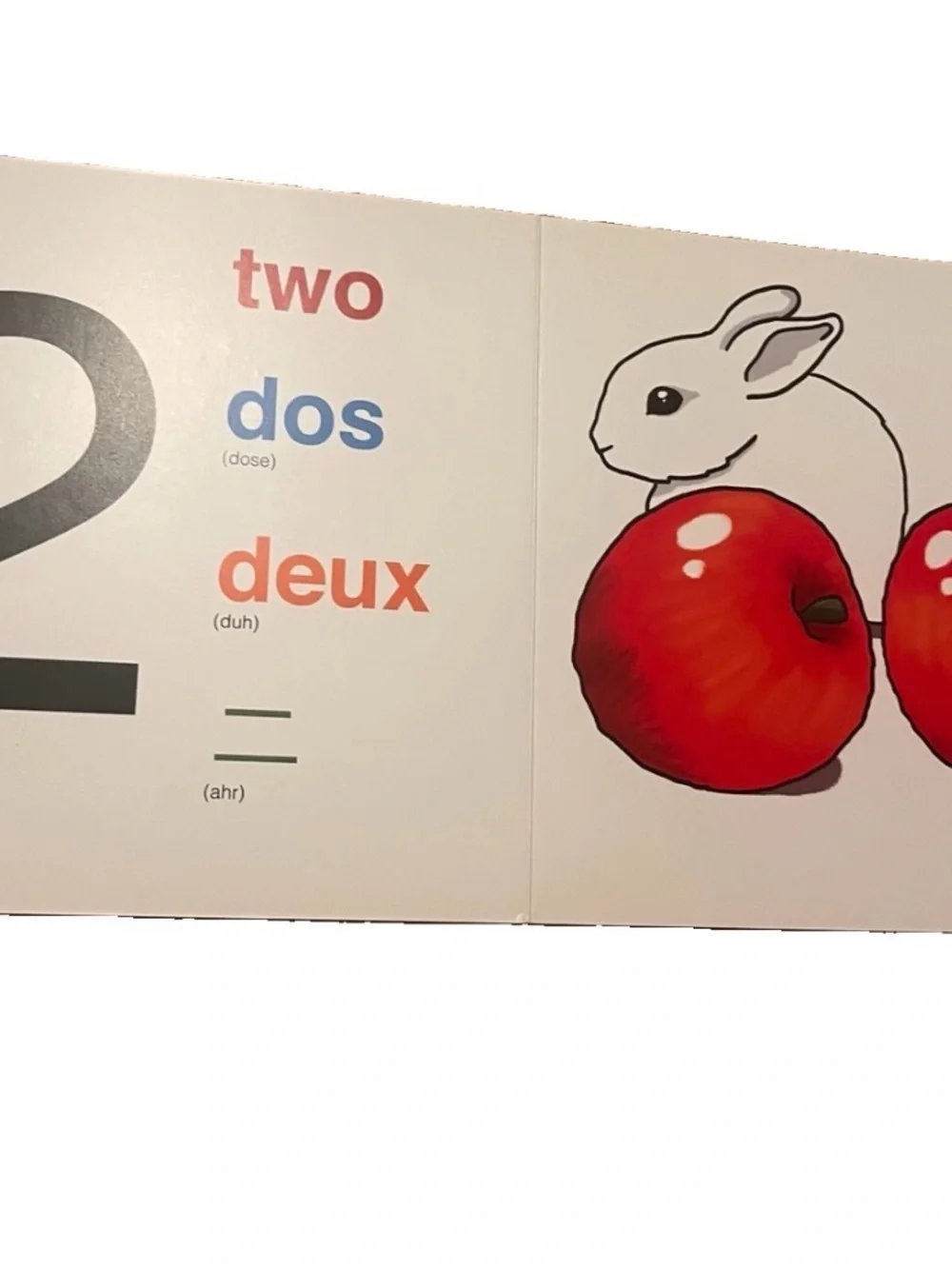 A Book in Four Languages My Numbers Board Book Claire Winslow Multilingual